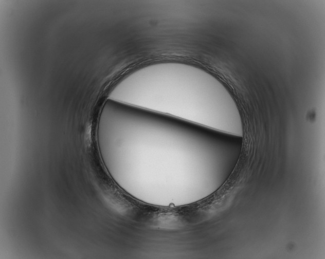 X0000100410262200806060932