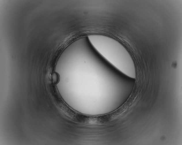 X0000100410264200806060932