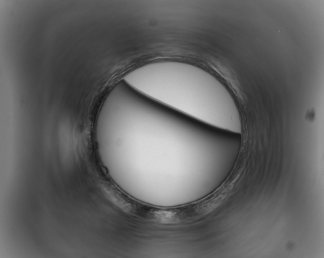 X0000100410265200806060932