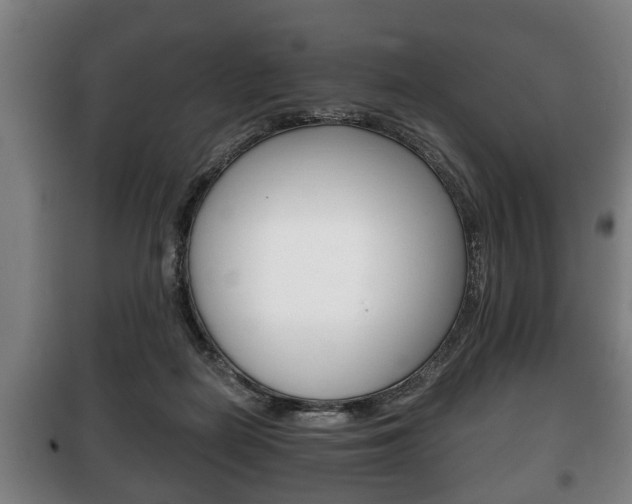 X0000100410266200806060932