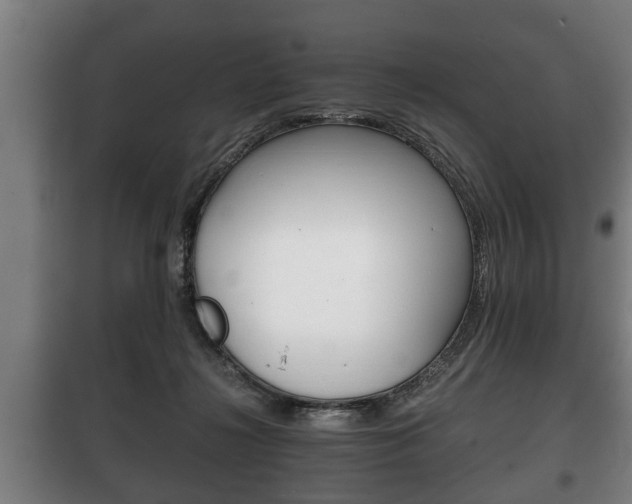 X0000100410268200806060932