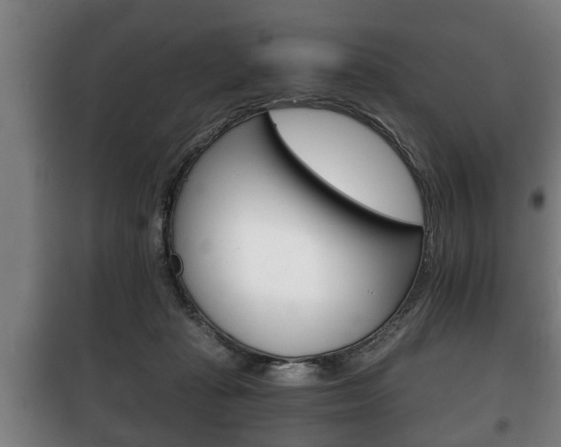 X0000100410269200806060932