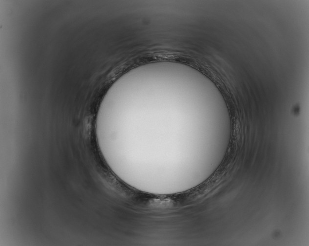 X0000100410271200806060932