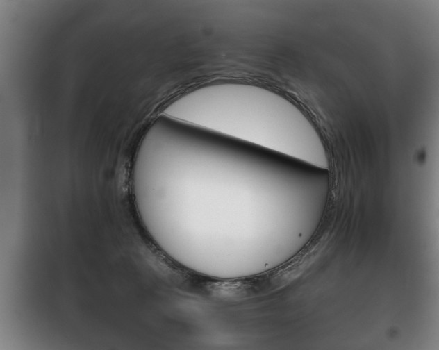 X0000100410273200806060932