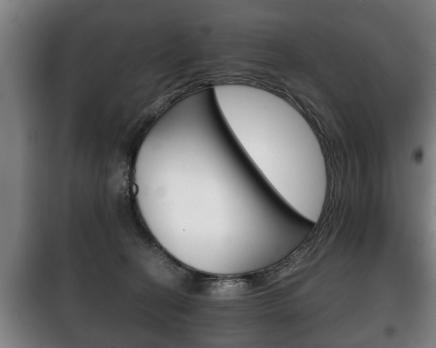 X0000100410274200806060932