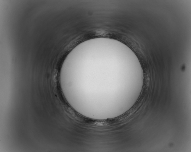 X0000100410275200806060932