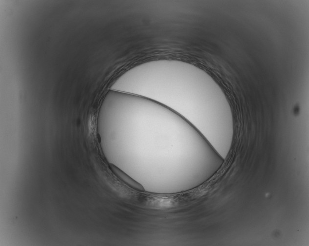 X0000100410276200806060932