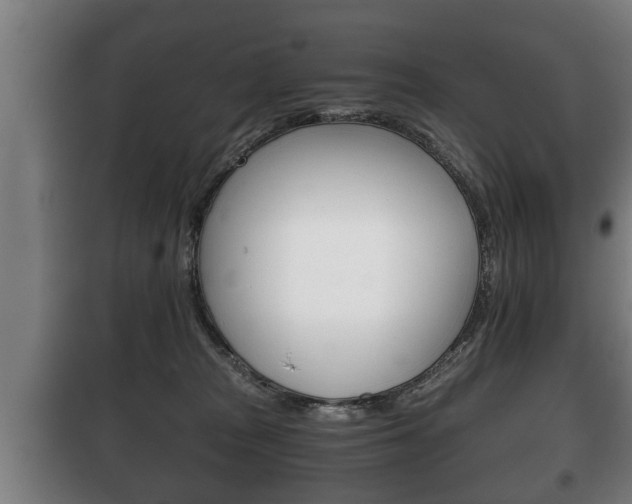 X0000100410277200806060932
