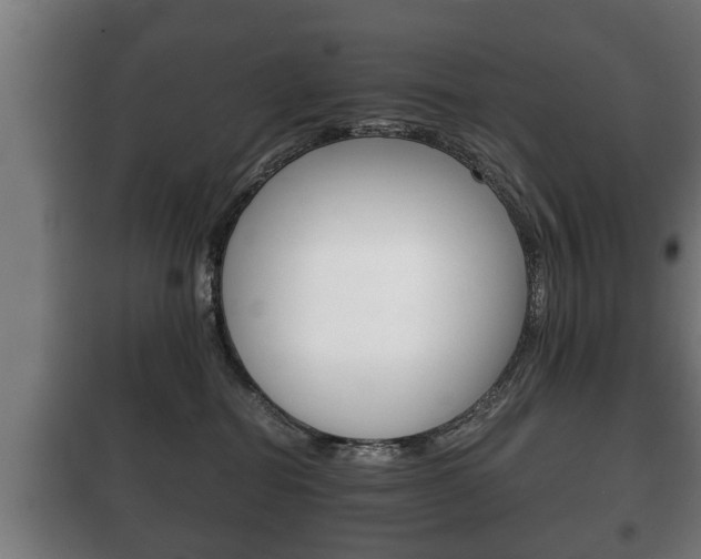 X0000100410282200806060932