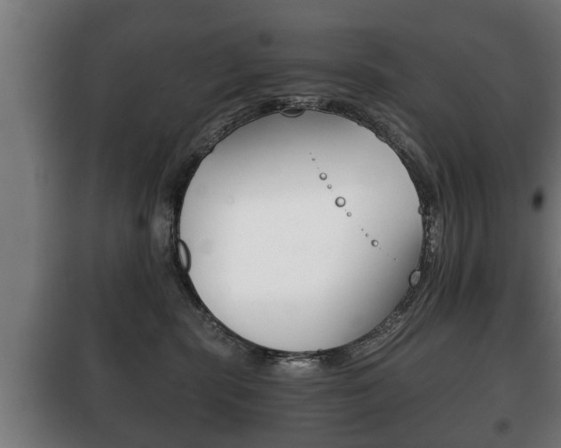 X0000100410283200806060932