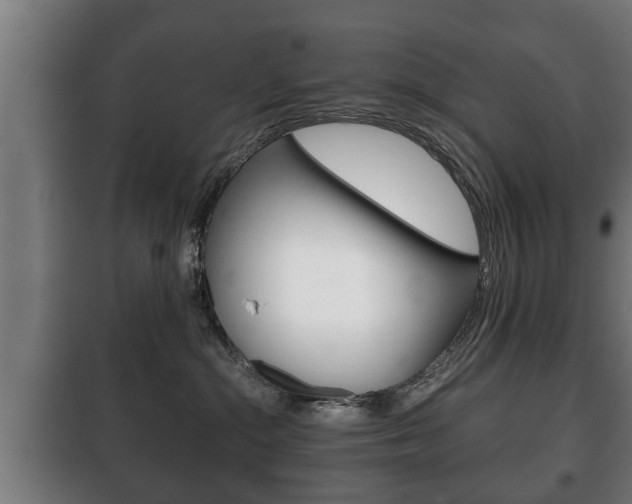 X0000100410284200806060932