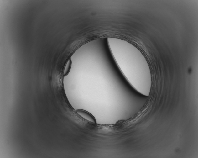 X0000100410285200806060932