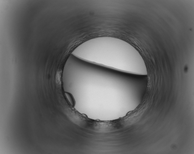 X0000100410286200806060932