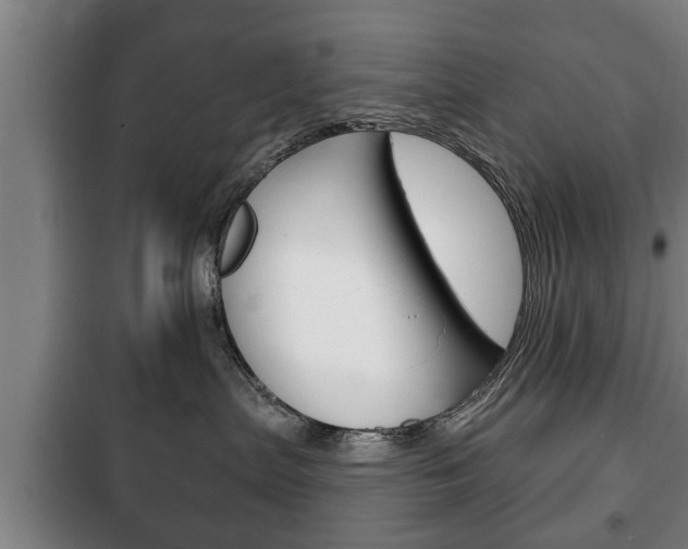 X0000100410287200806060932