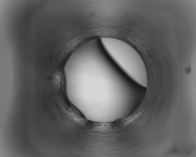 X0000100410288200806060932
