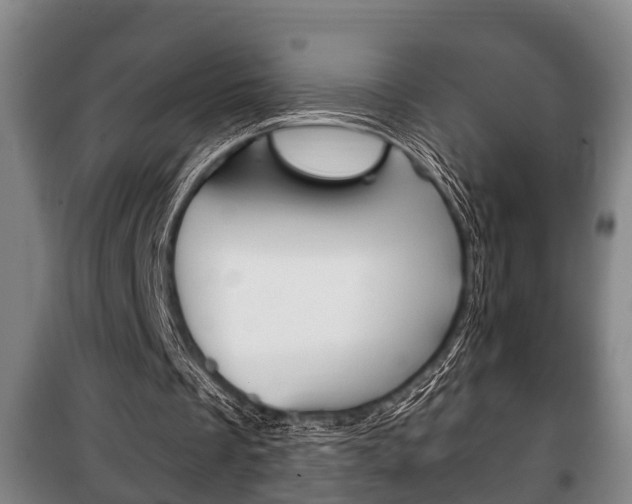 X0000100410289200806060931