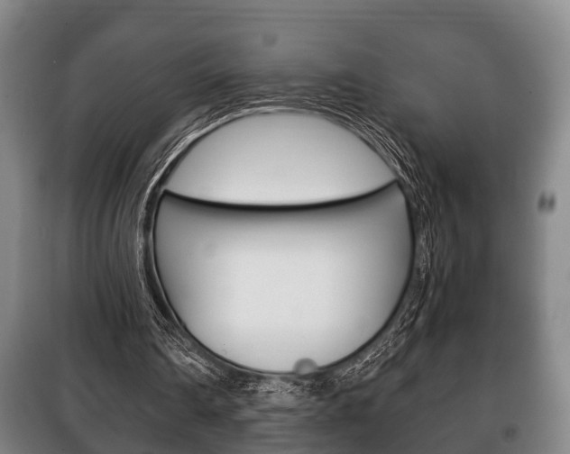 X0000100410290200806060931