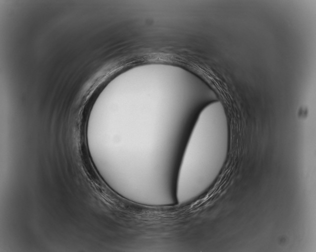 X0000100410291200806060931