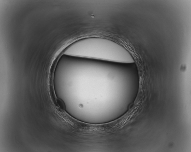 X0000100410292200806060931