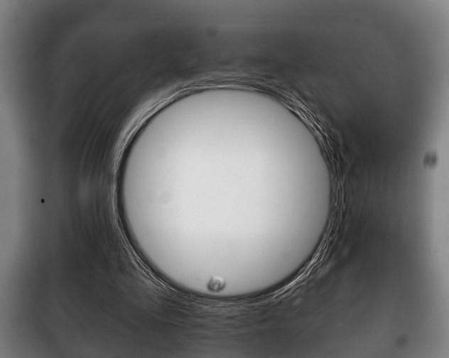 X0000100410293200806060931