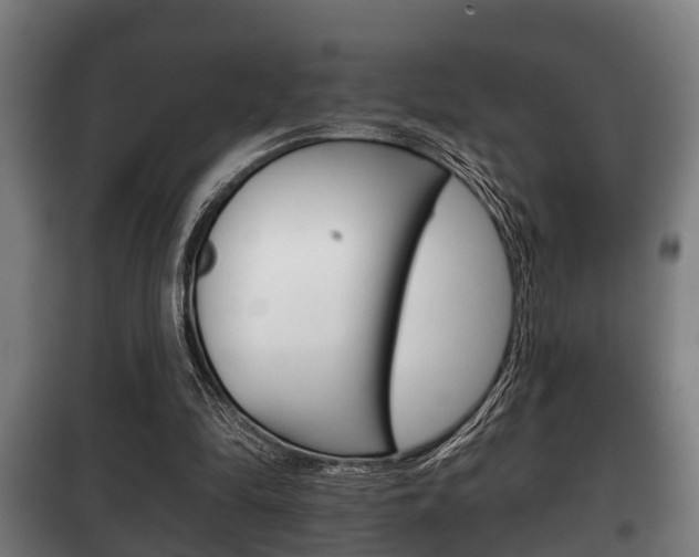 X0000100410294200806060931