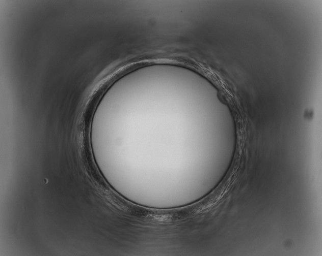 X0000100410295200806060931