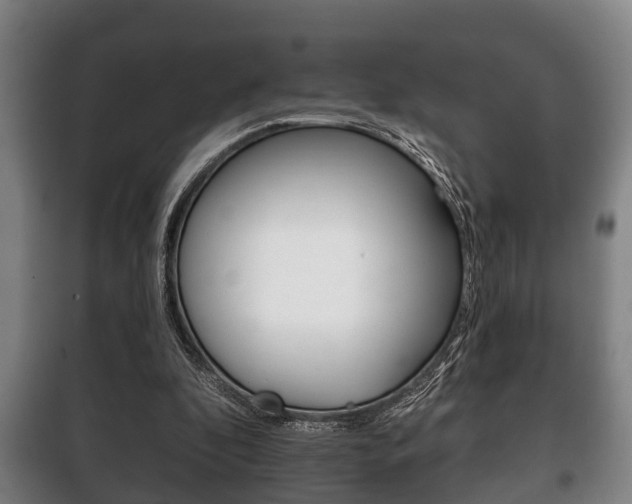 X0000100410296200806060931