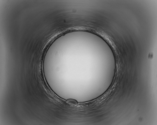 X0000100410297200806060931