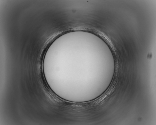 X0000100410298200806060931