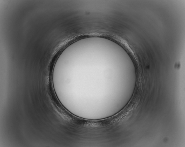 X0000100410299200806060931