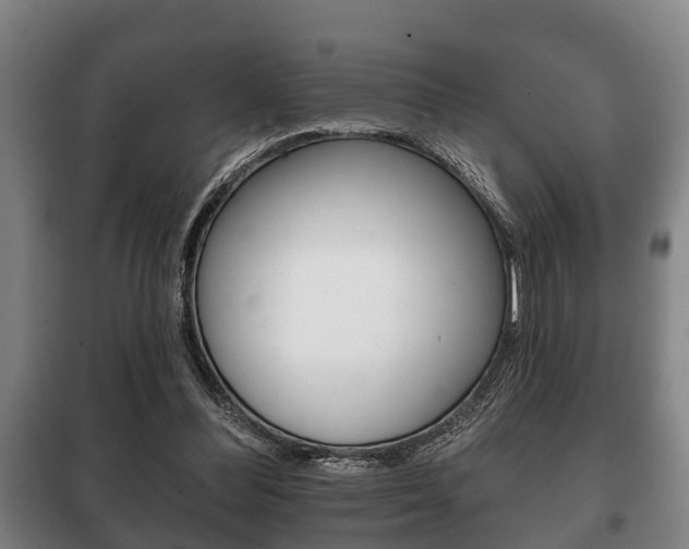 X0000100410300200806060931