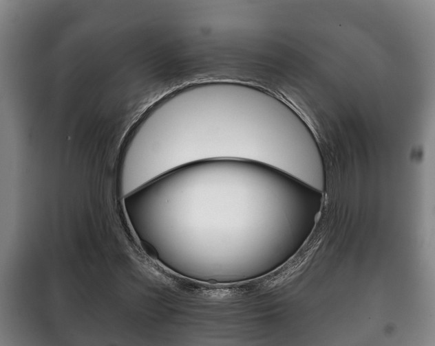 X0000100410301200806060931