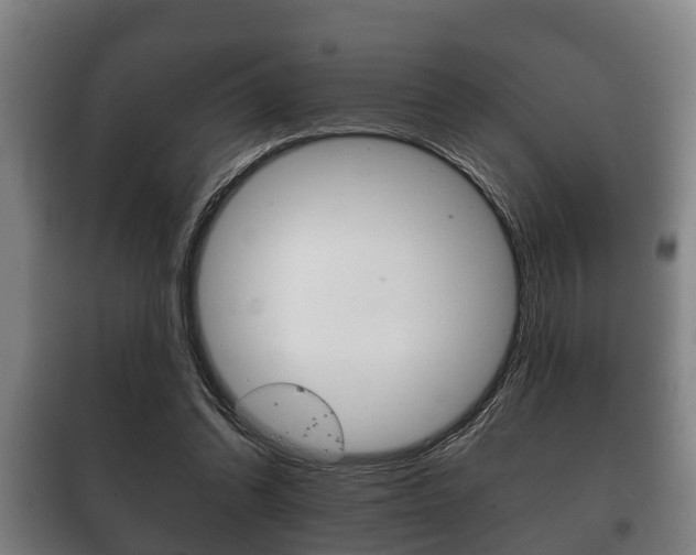 X0000100410302200806060931