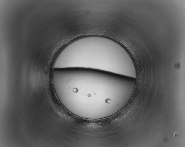 X0000100410303200806060931