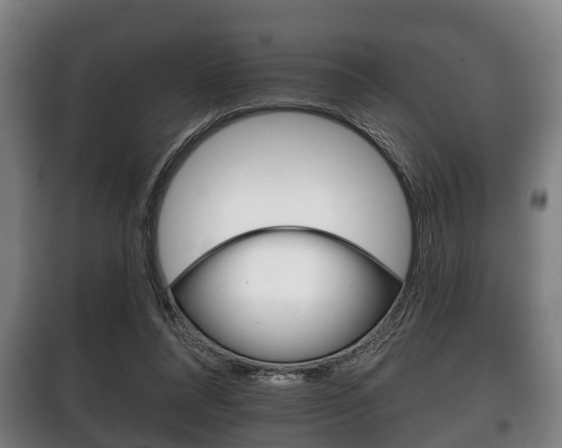X0000100410304200806060931