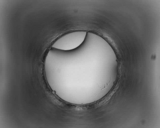X0000100410305200806060931