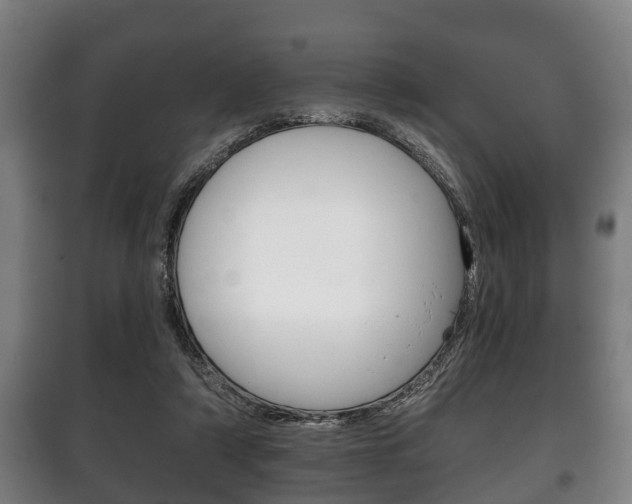 X0000100410306200806060931