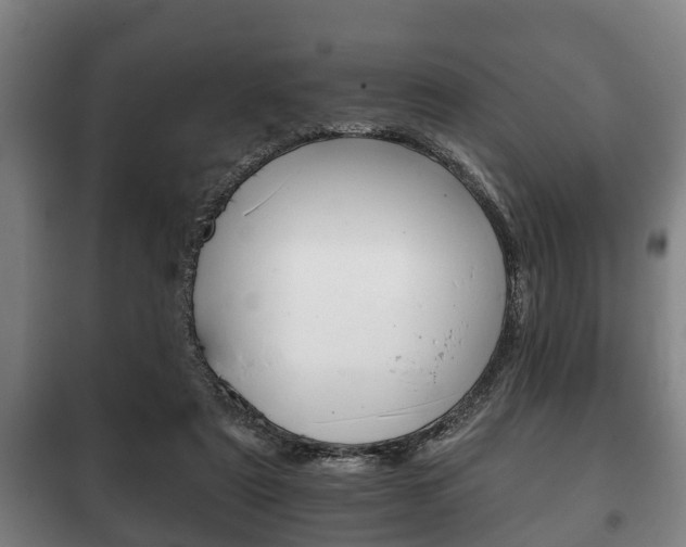 X0000100410307200806060931