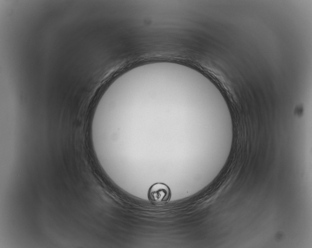 X0000100410308200806060931