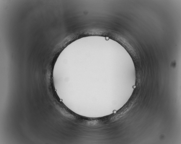 X0000100410309200806060931