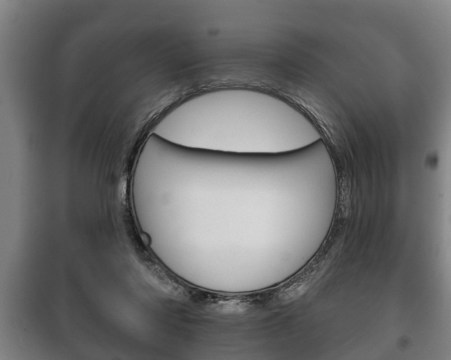 X0000100410310200806060931