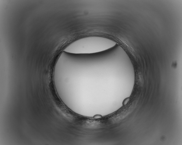 X0000100410311200806060931