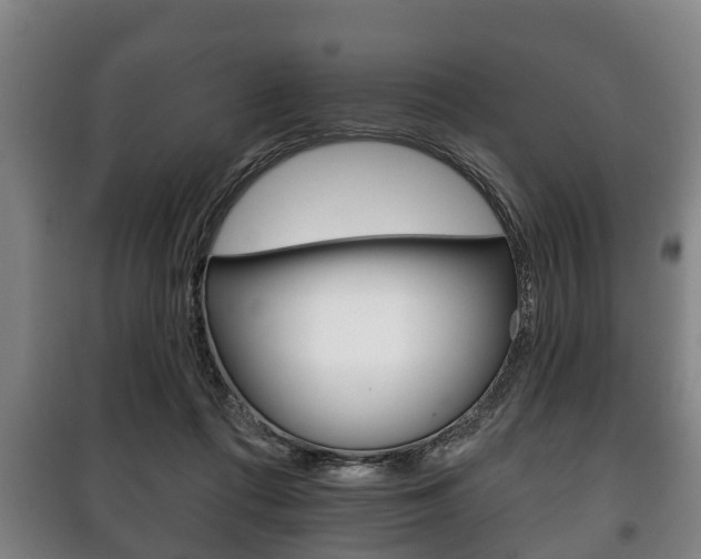 X0000100410312200806060931