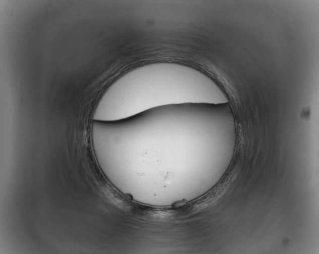 X0000100410313200806060931