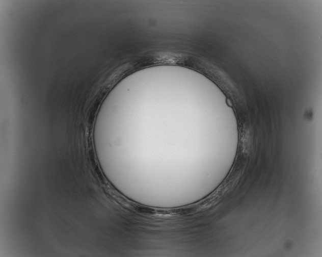 X0000100410314200806060931