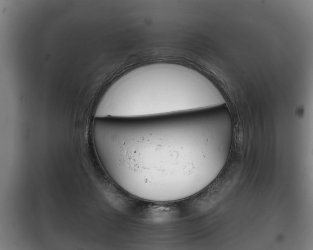 X0000100410315200806060931