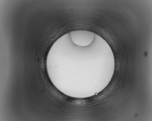 X0000100410317200806060931