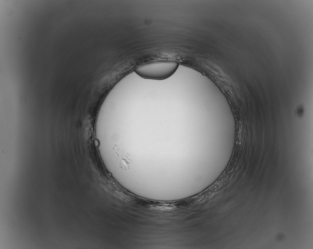 X0000100410318200806060931