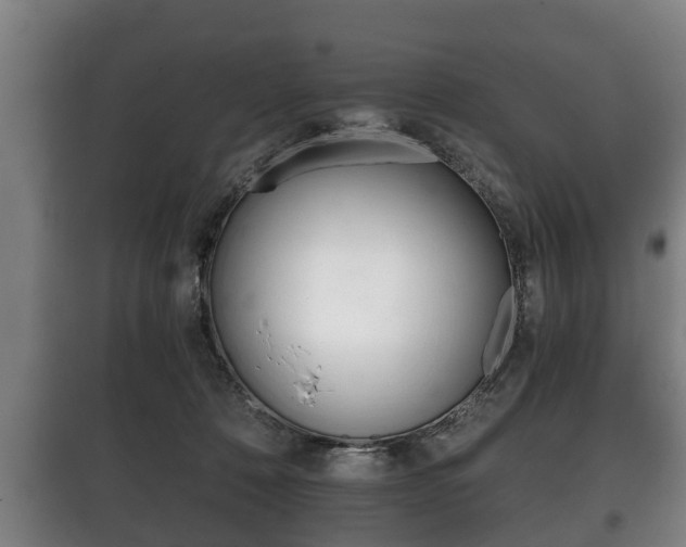 X0000100410320200806060931
