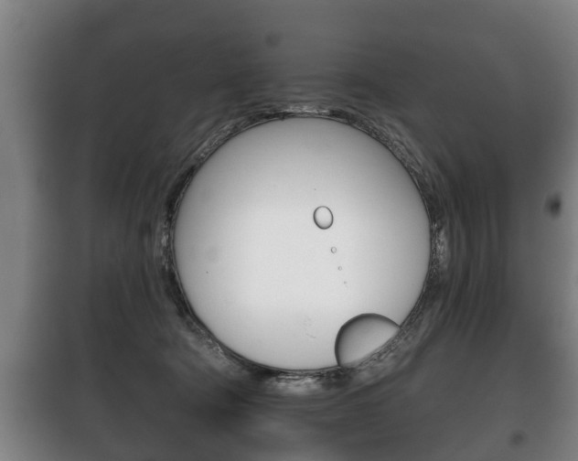 X0000100410322200806060931